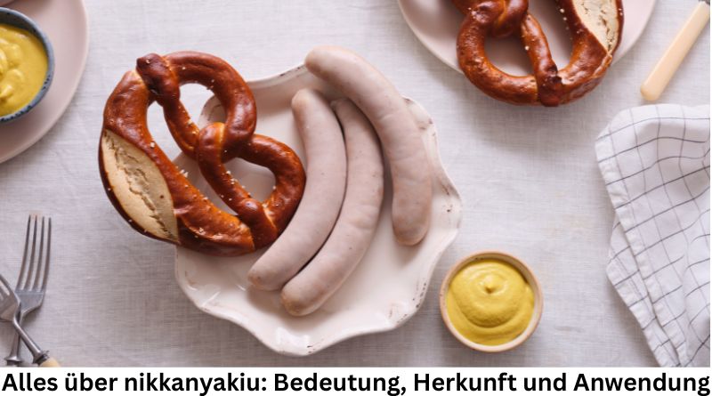 Alles über nikkanyakiu: Bedeutung, Herkunft und Anwendung